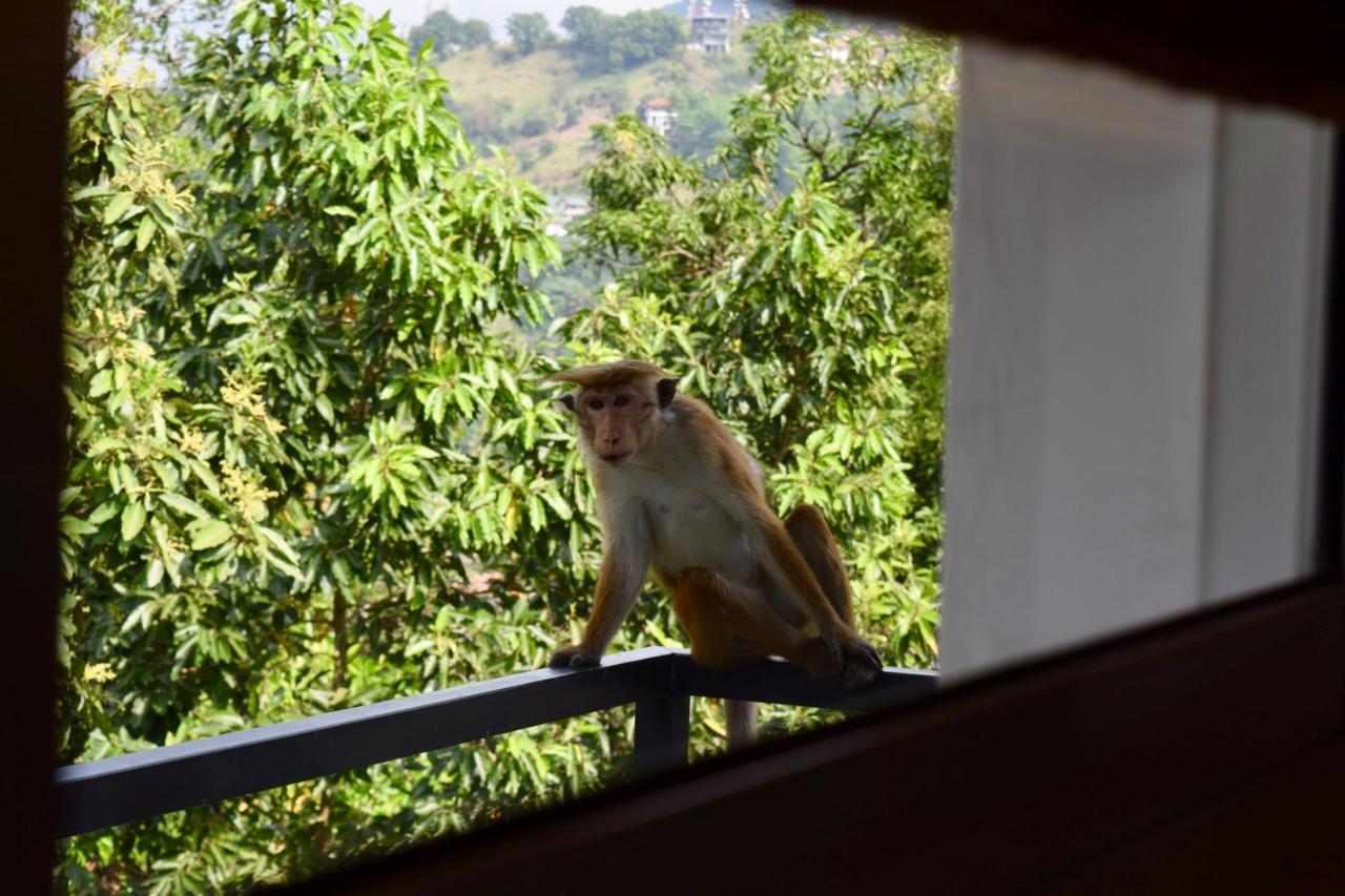 La Colina Kandy Ngoại thất bức ảnh